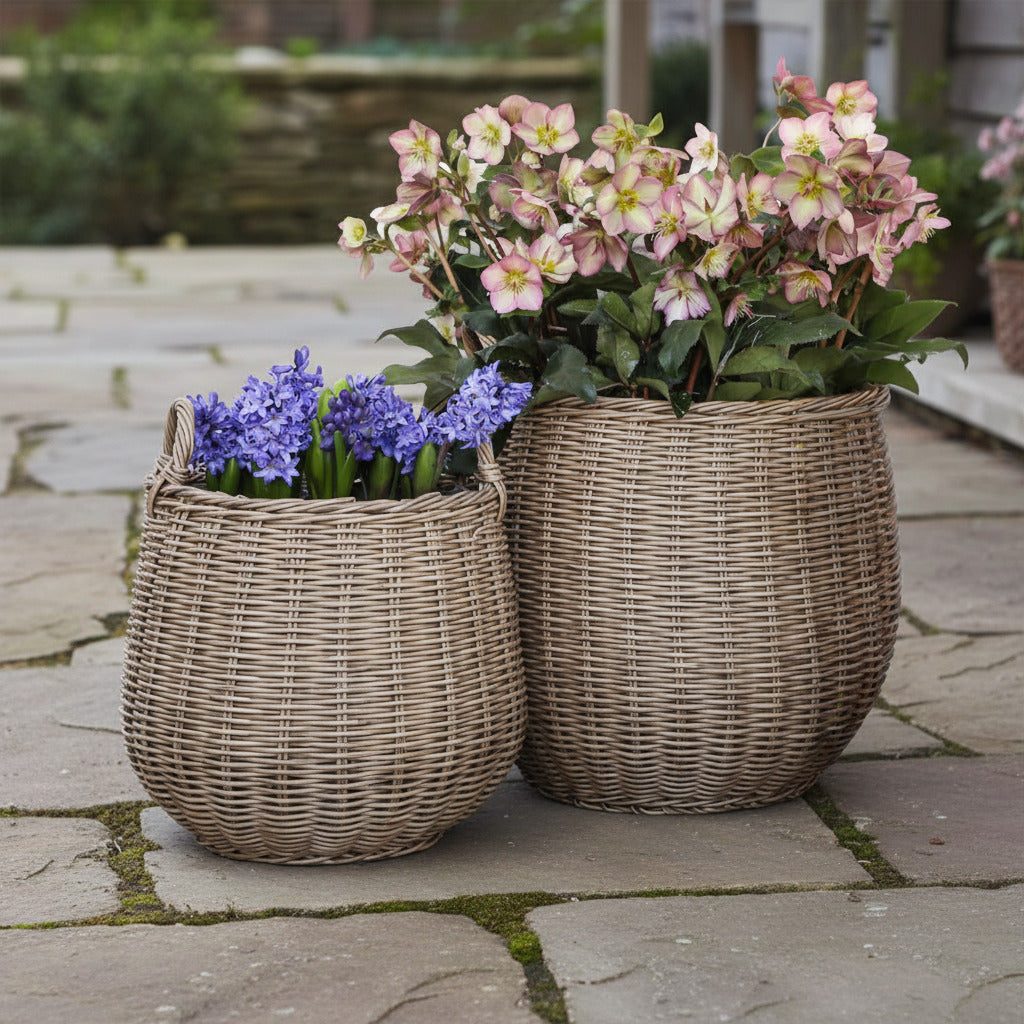 PREORDER Round Willow Planter Baskets - Set of 2 - Interior Delights