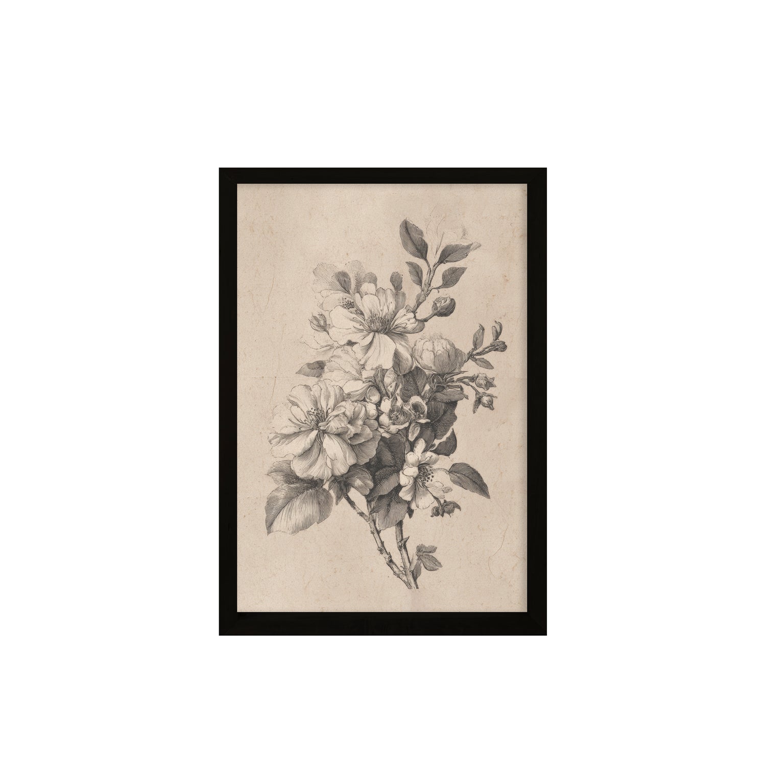 24x36 Flat Black Sketched Botanical ( Set of 2)