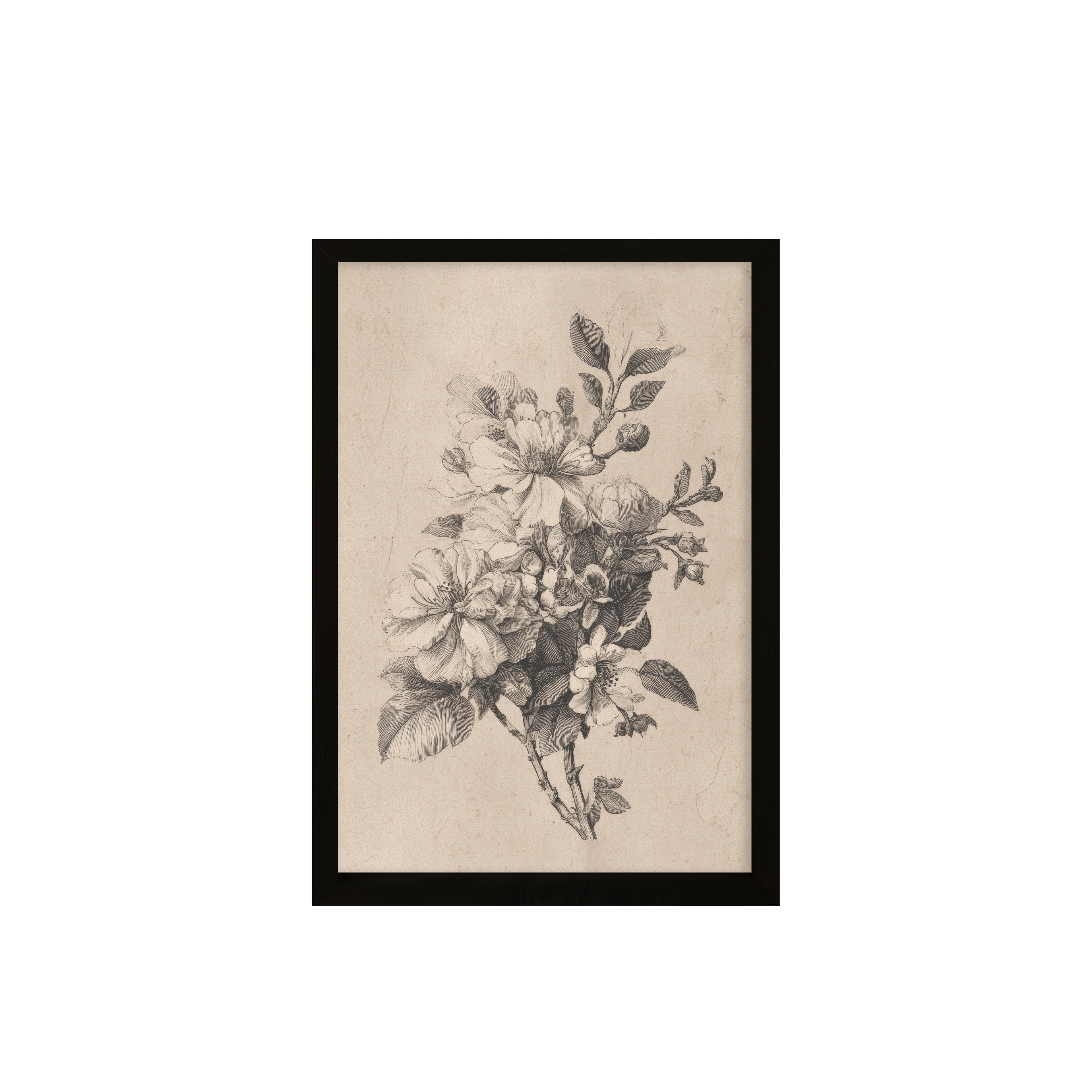 24x36 Flat Black Sketched Botanical ( Set of 2)