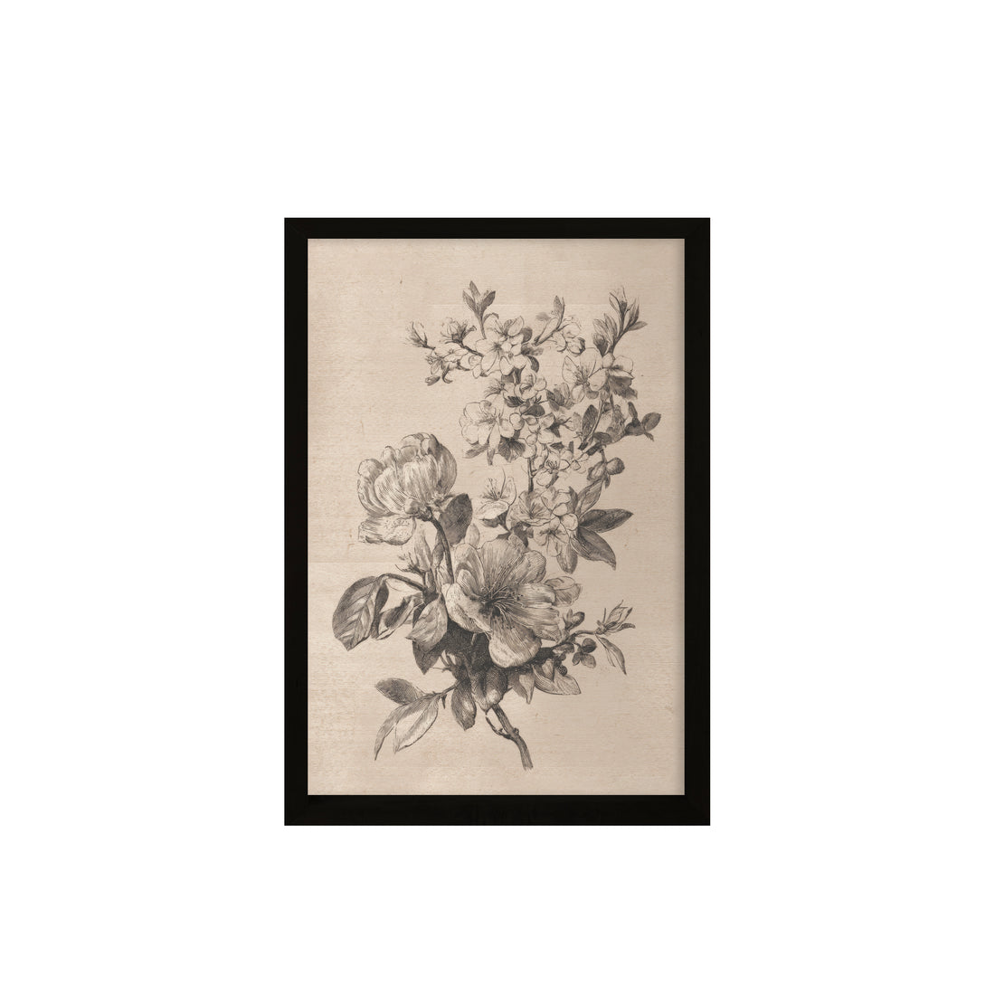 24x36 Flat Black Sketched Botanical ( Set of 2)