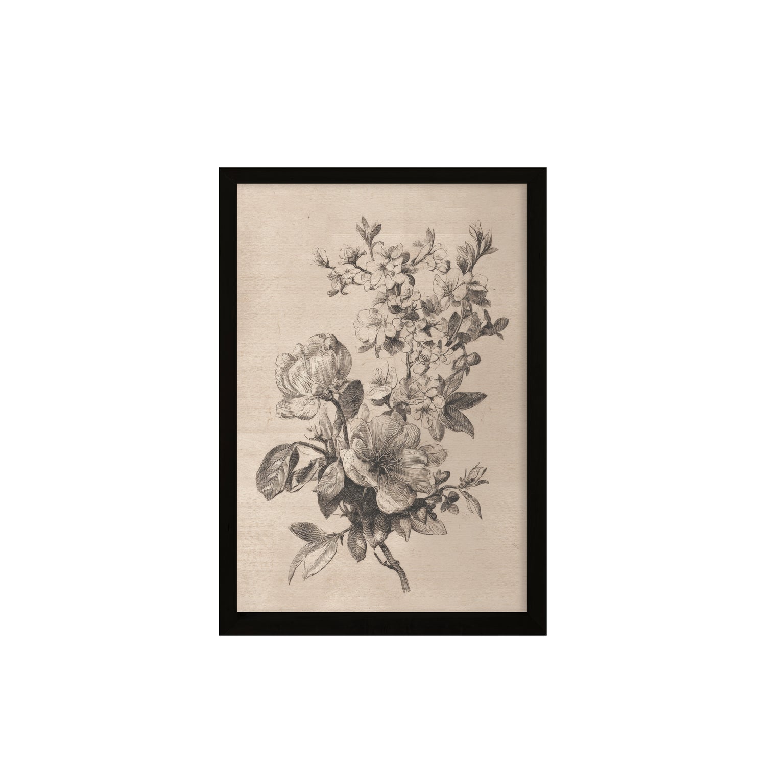 24x36 Flat Black Sketched Botanical ( Set of 2)