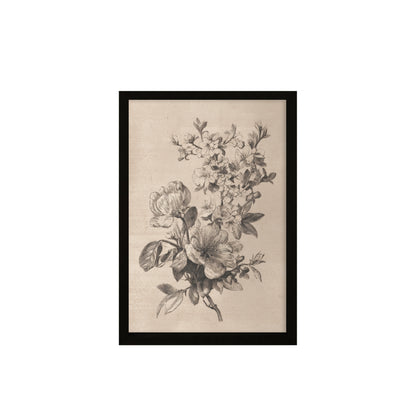 24x36 Flat Black Sketched Botanical ( Set of 2)