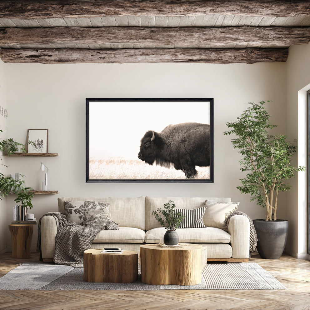 40x60 Buffalo on Plains