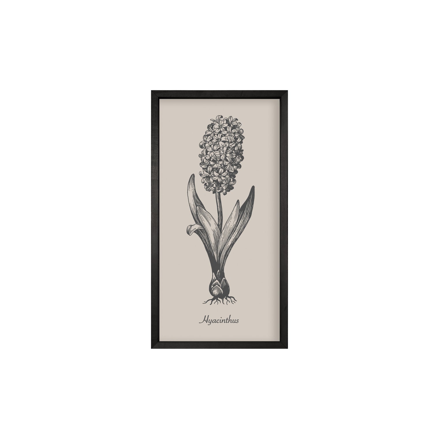 35x18 Thin Black Vintage Botanicals (Set of 6)