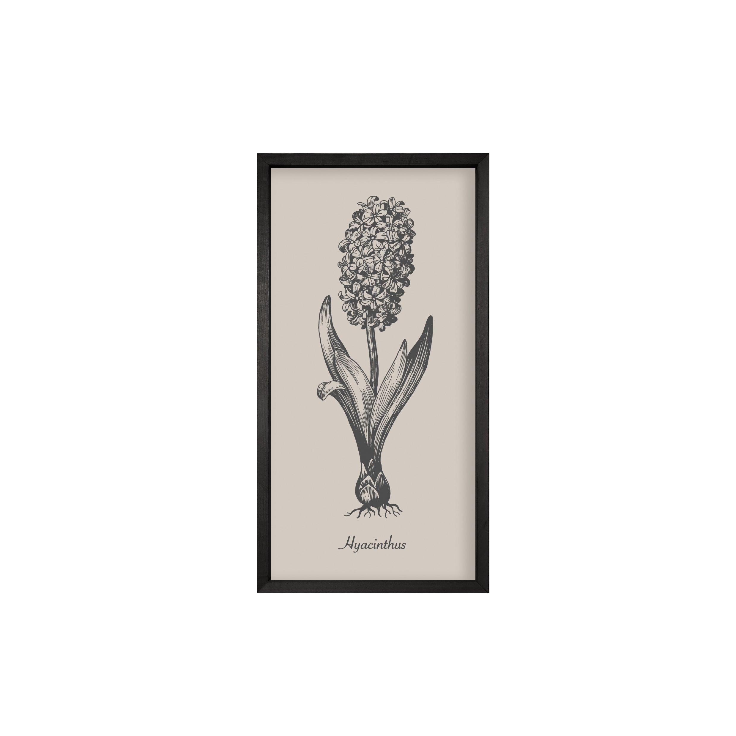 35x18 Thin Black Vintage Botanicals (Set of 6)