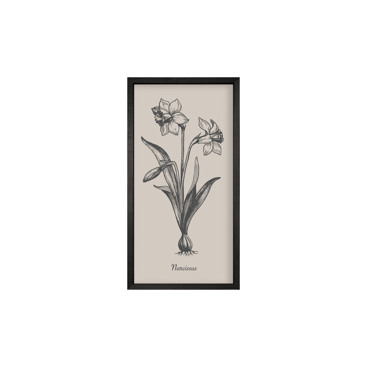 35x18 Thin Black Vintage Botanicals (Set of 6)