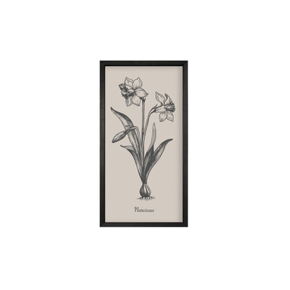 35x18 Thin Black Vintage Botanicals (Set of 6)