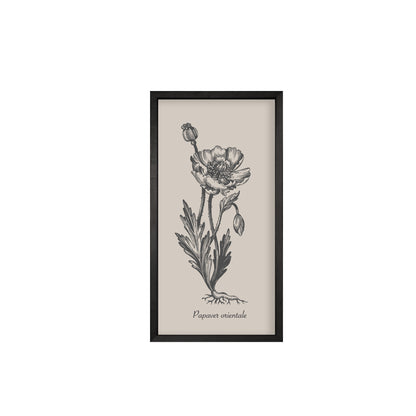 35x18 Thin Black Vintage Botanicals (Set of 6)