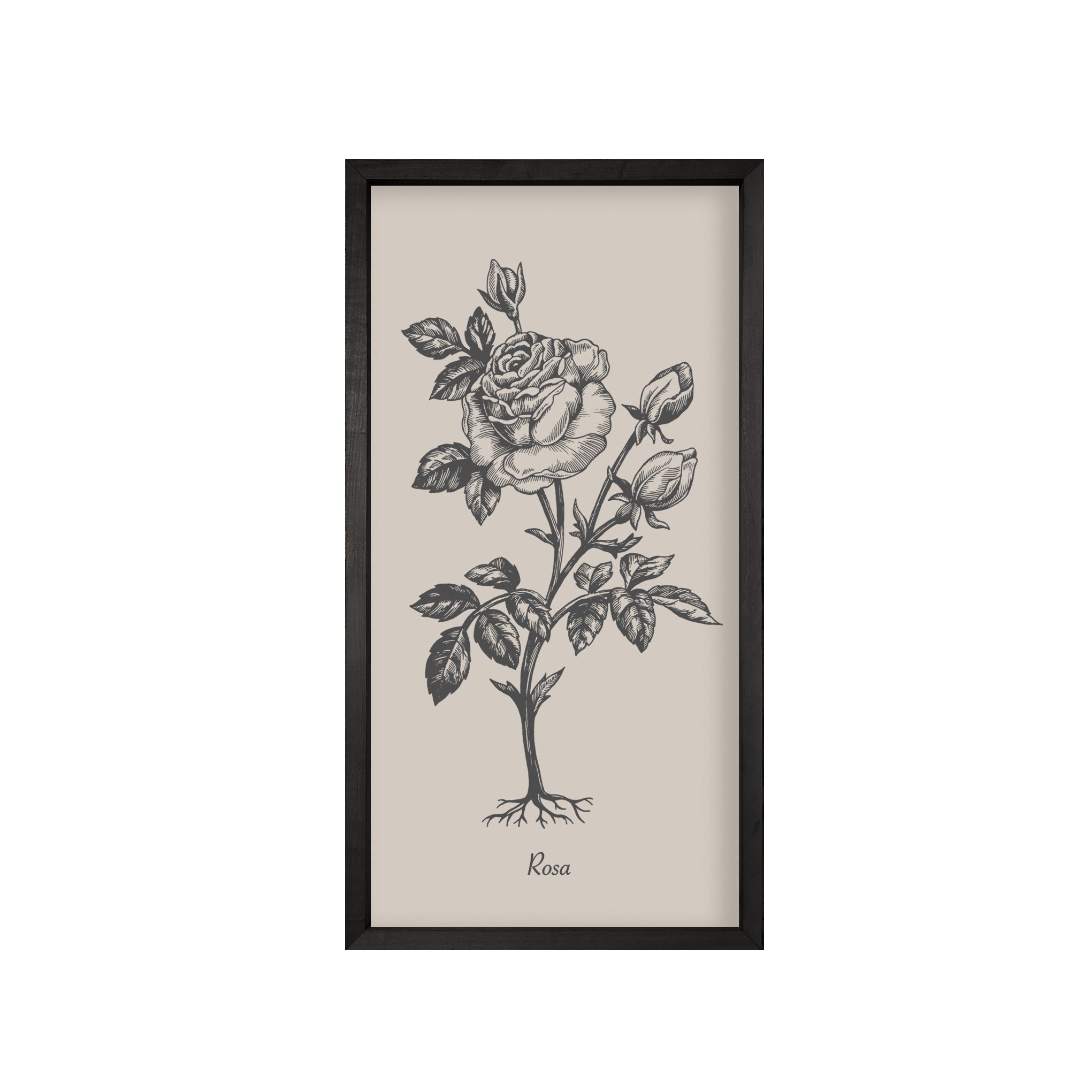 35x18 Thin Black Vintage Botanicals (Set of 6)