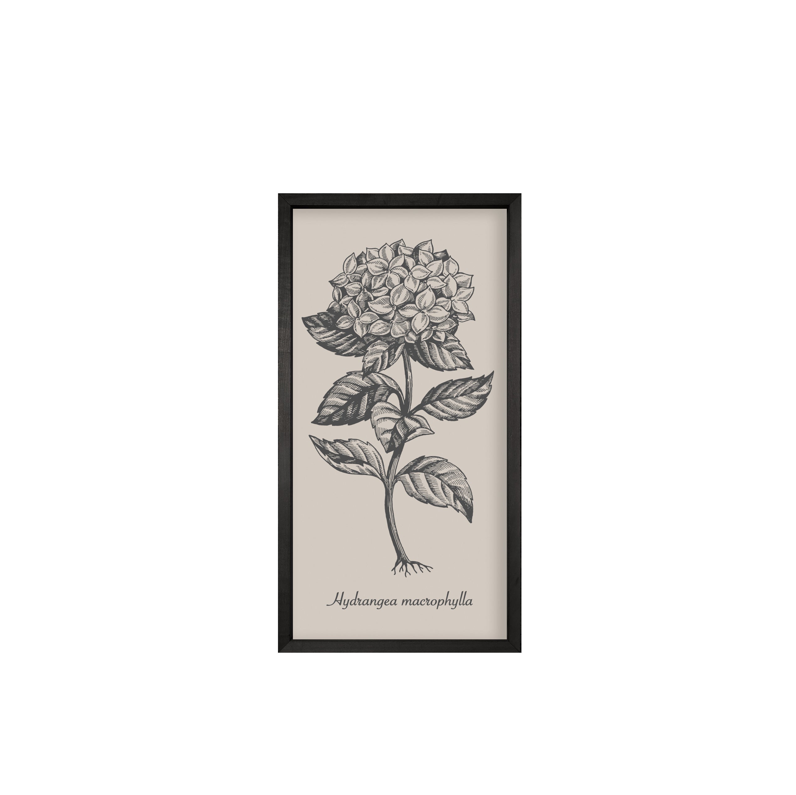 35x18 Thin Black Vintage Botanicals (Set of 6)