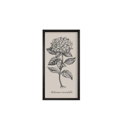 35x18 Thin Black Vintage Botanicals (Set of 6)