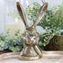 Gold Eyeglass Bunny Figure - Interior Delights