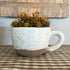 Oversized Mug: Planter showcasing a whimsical design perfect for seasonal plants and fall decor