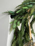 Majestic Illuminated Ensemble: 4 garlands + 6 Lighted Ornaments + Remote + 10 ball ornaments - Interior Delights