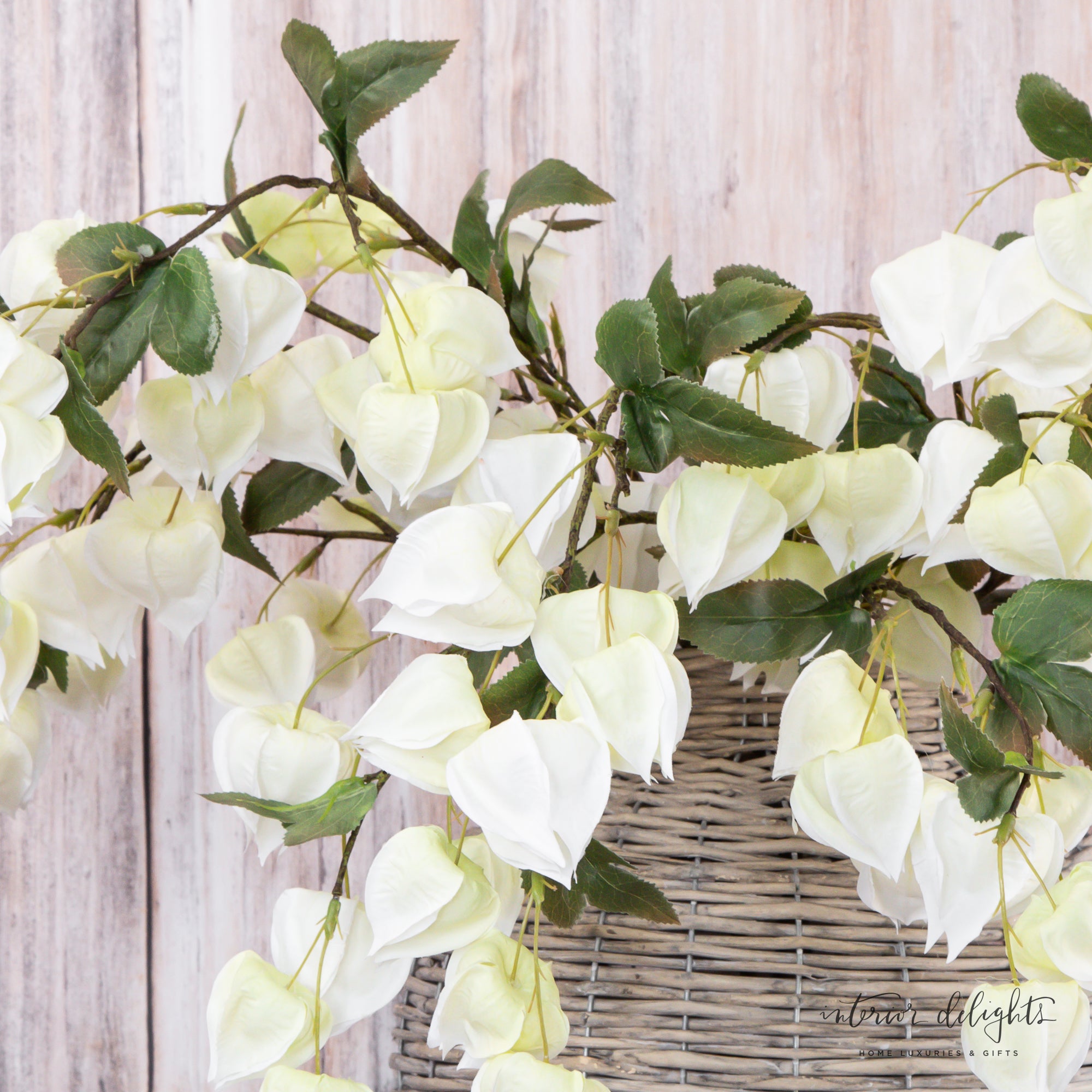 Lantern Bud Spray- Cream 38in