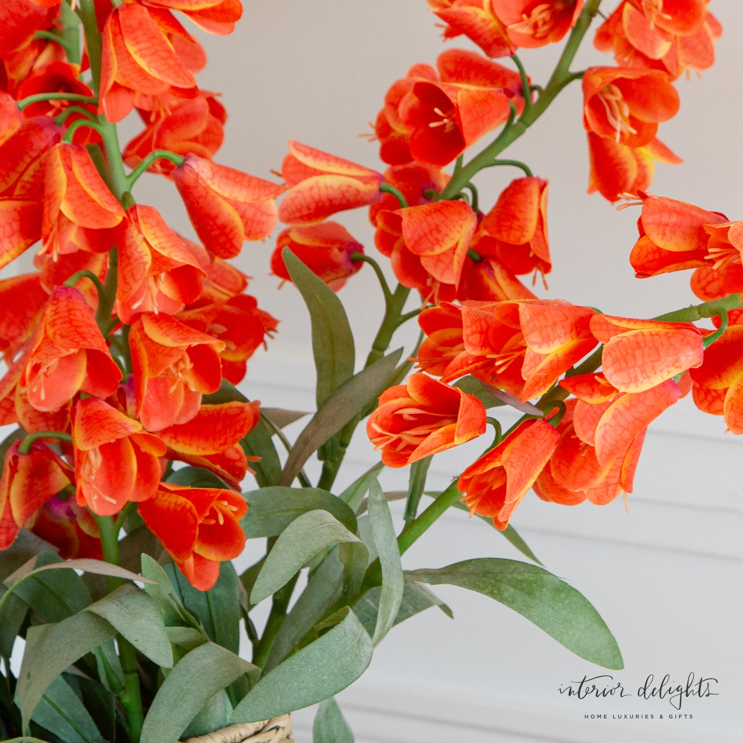 Orange Persian Lily