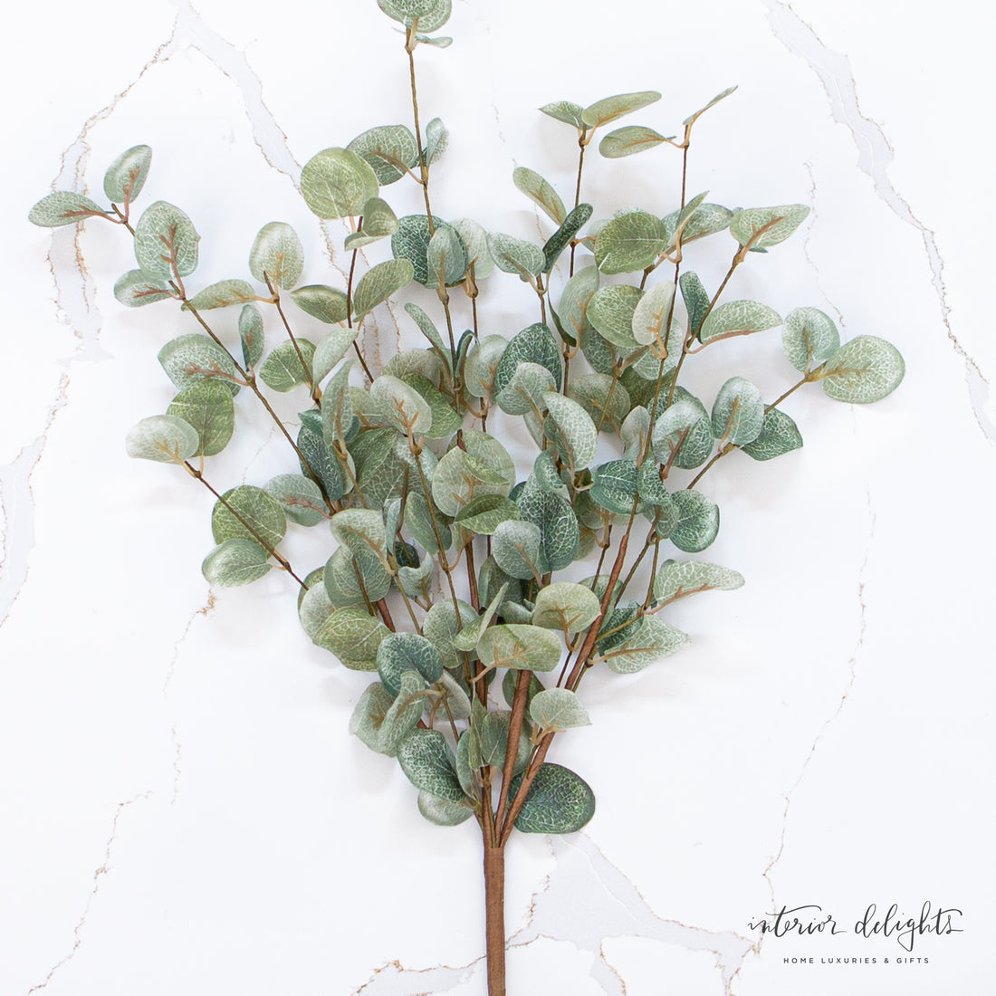 Garden Eucalyptus Bush- 19in