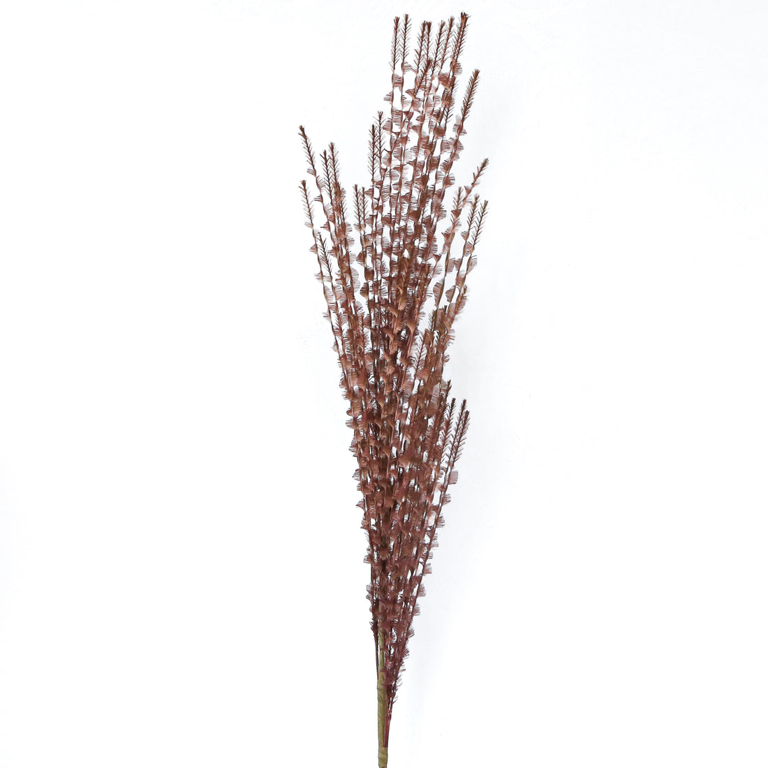 39&quot; Twisted Eyelash Ribbon Stem