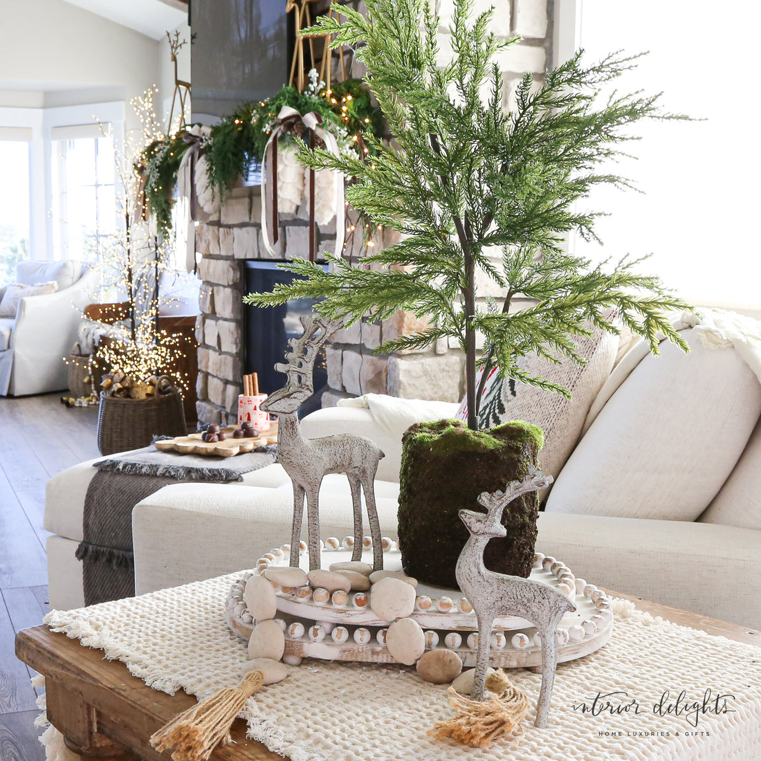 24” Spruce Tree with realistic foliage in a charming base of soil and green moss, perfect for holiday decor.