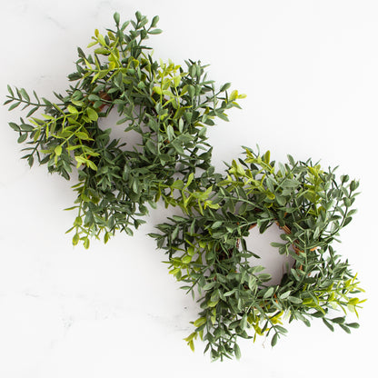 New England Boxwood Taper Candle Ring- 6in-Sold Individually
