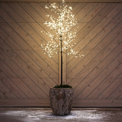 Slim Trunk Sparkle Tree 70 inch tall, beautifully illuminating a garden setting with its twinkling lights.