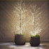 Curated Set: 2 Full Trunk LED Trees elegantly arranged in decorative Round Willow Baskets.