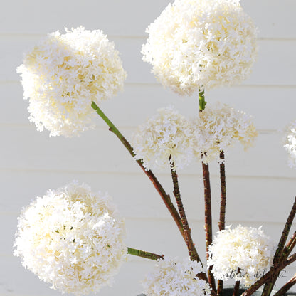 Cream Snowball Spray - Interior Delights