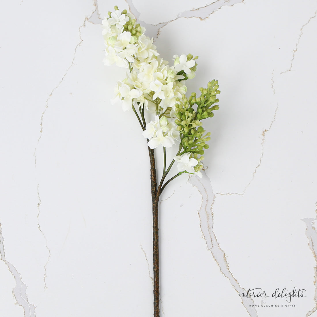 White Lilac Spray displayed in a vase, highlighting its graceful 25-inch length and beauty in home decor.