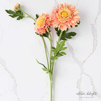 Peachy Gerber Daisy Spray