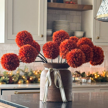 Orange Allium Stem