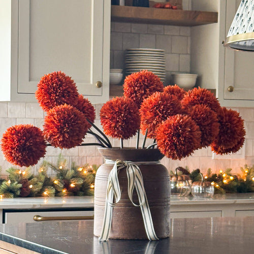 Orange Allium Stem