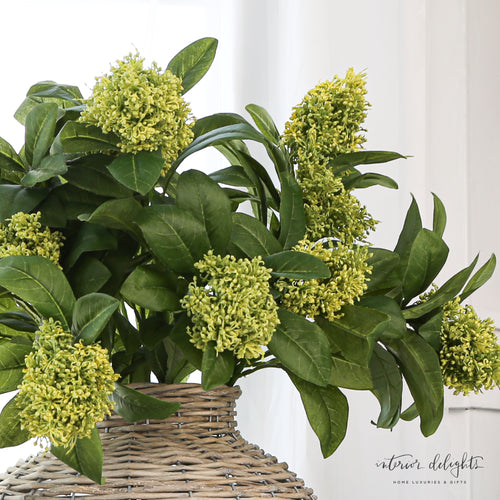 Elegant Green Leaf Bloom Spray in a terracotta jug vase, perfect for adding charm to any space.