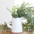 Circle Top Canister-SOLD INDIVIDUALLY
