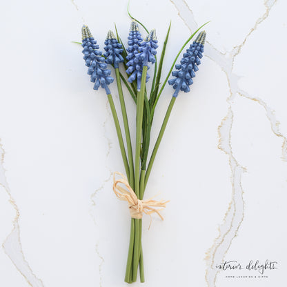 Blue Hyacinth Bundle