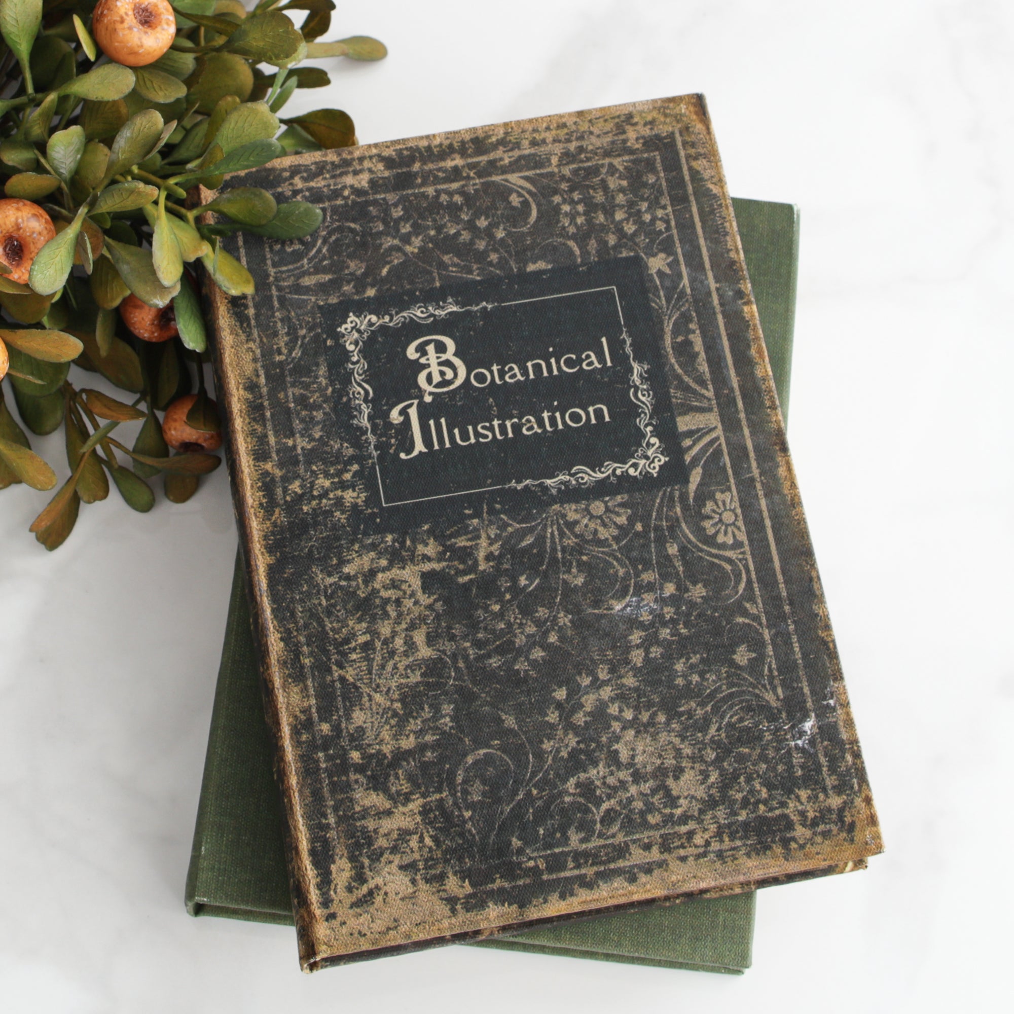 Vintage Journal, Botanical Illustration