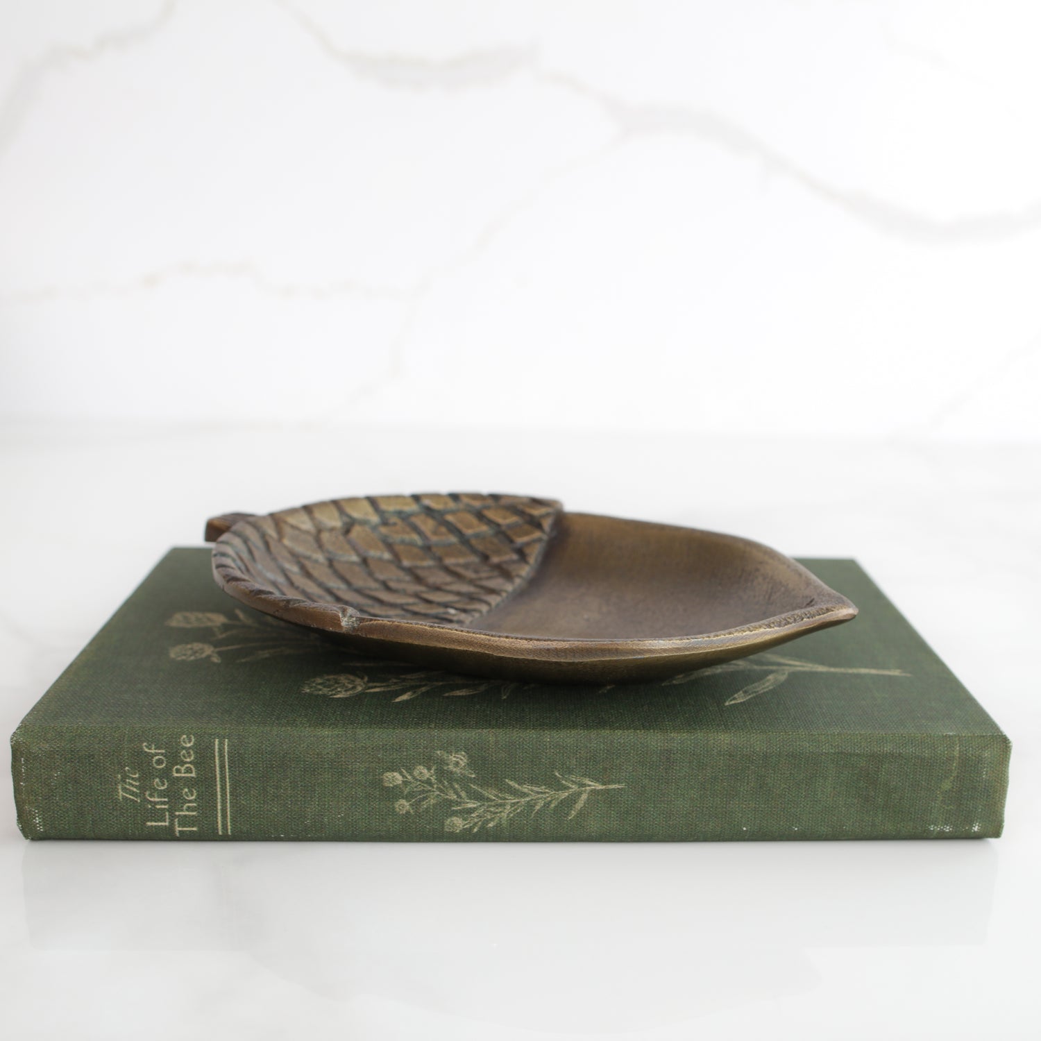 7" Brass Acorn Dish