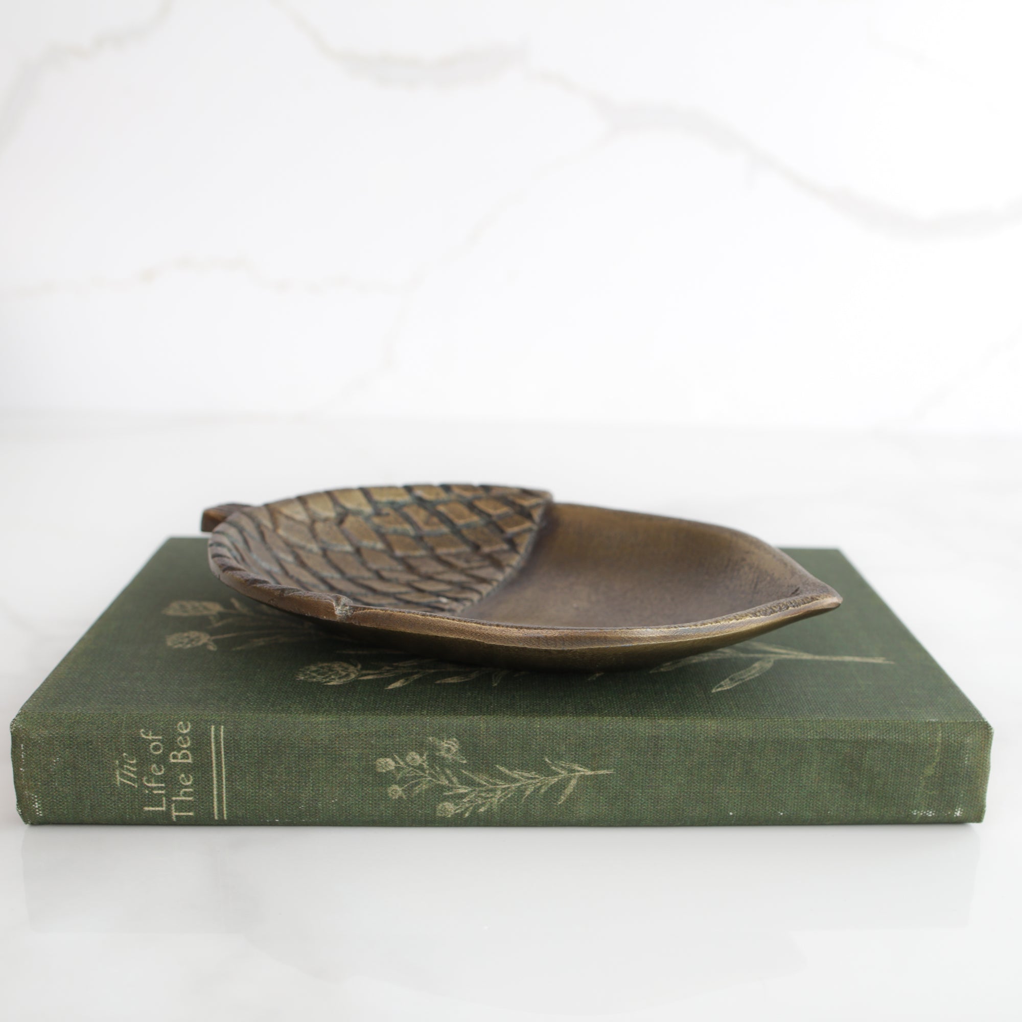 7" Brass Acorn Dish