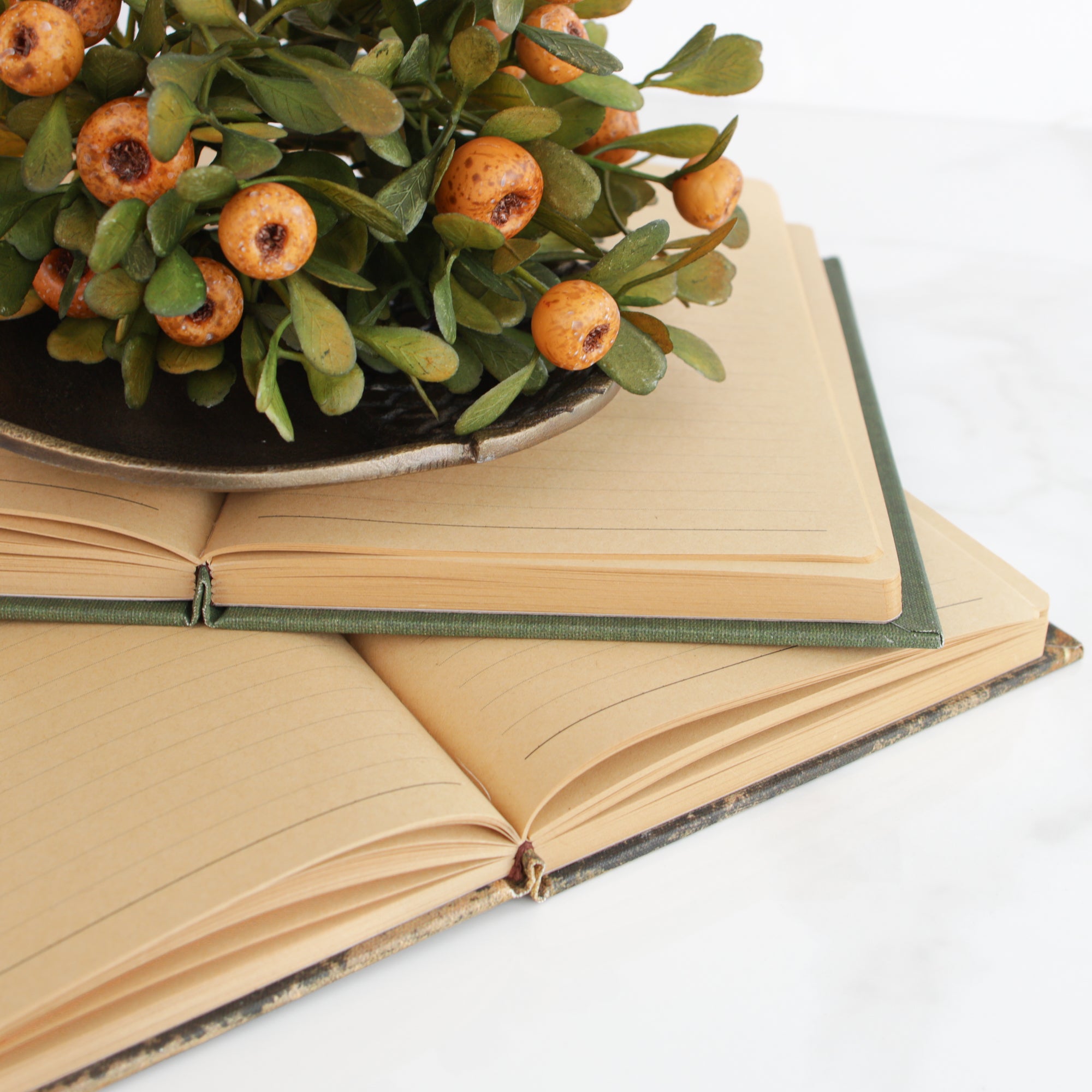 Vintage Journal, Botanical Illustration