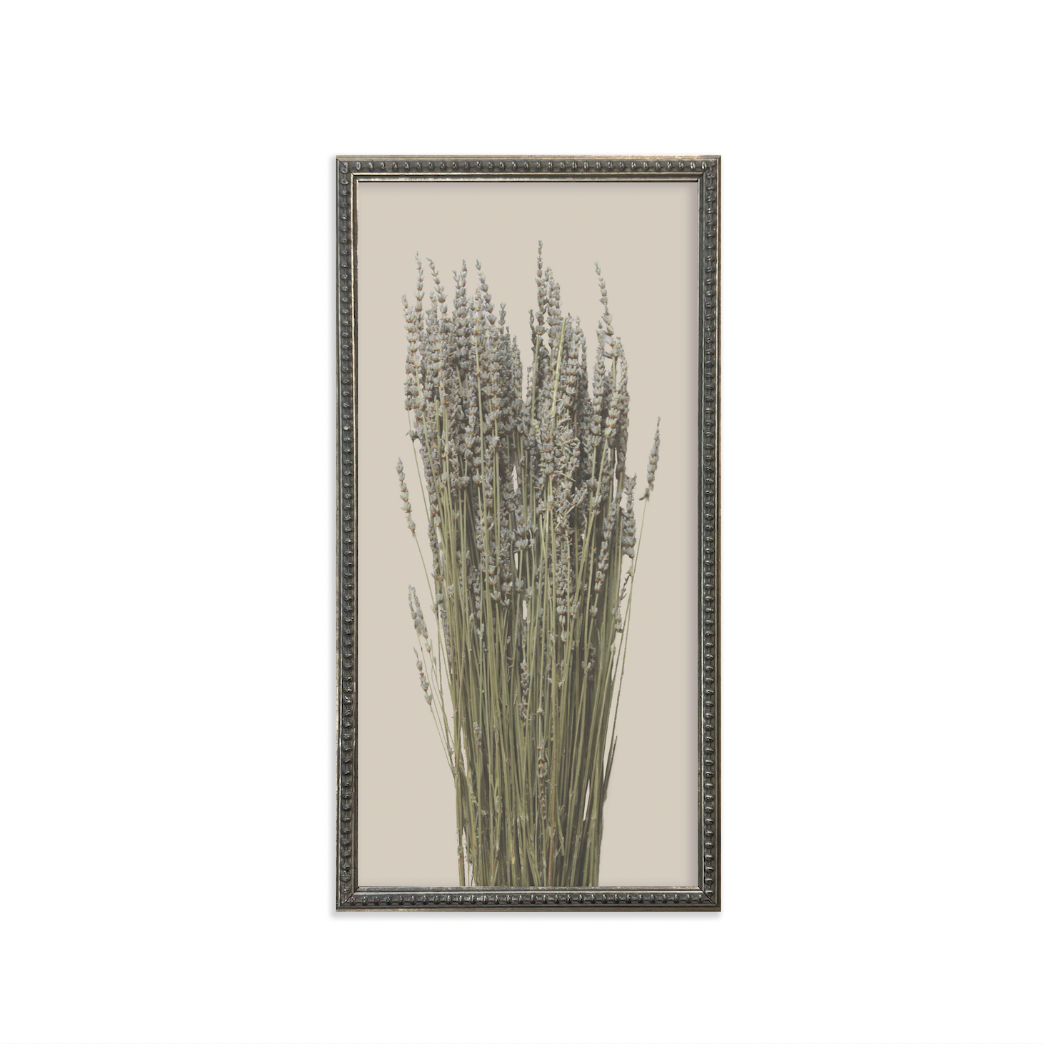 Silver Bead Frame Botanicals (Set of 6) - Interior Delights