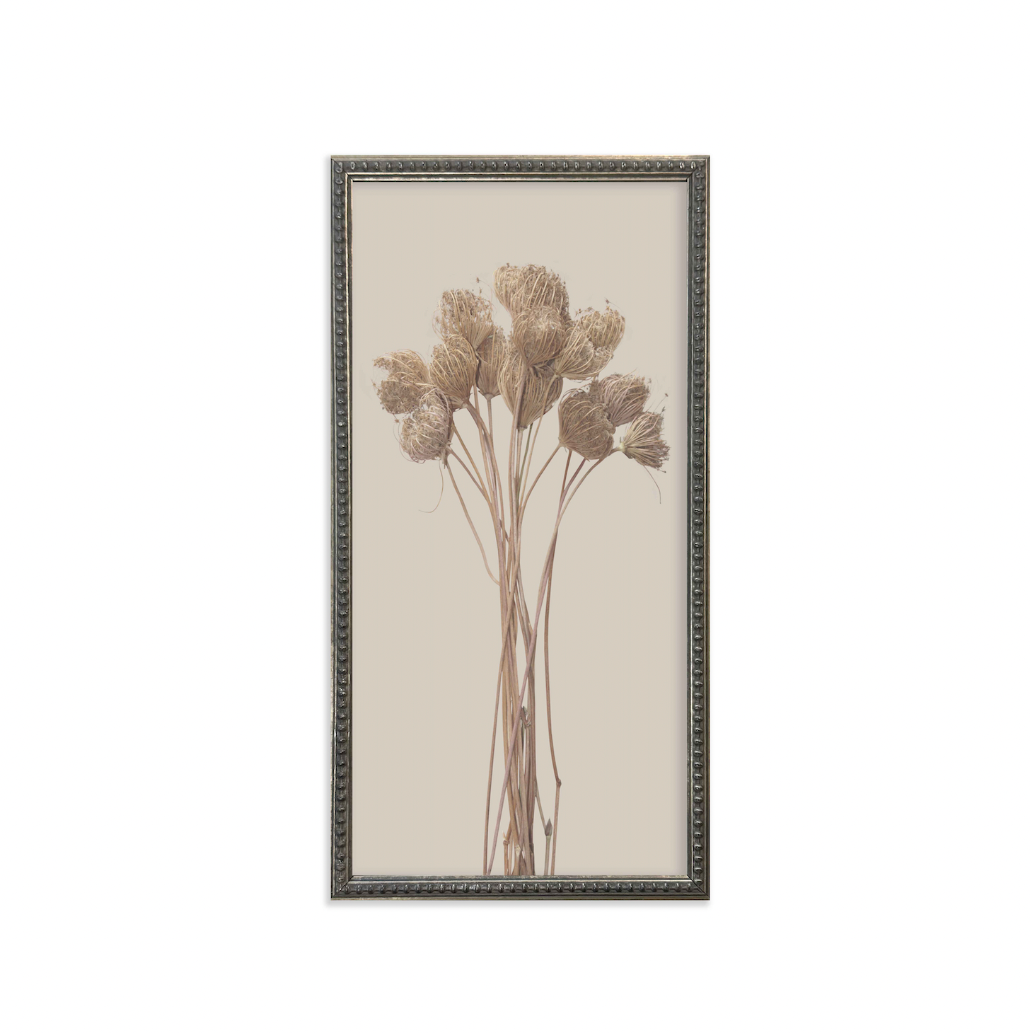 Silver Bead Frame Botanicals (Set of 6) - Interior Delights