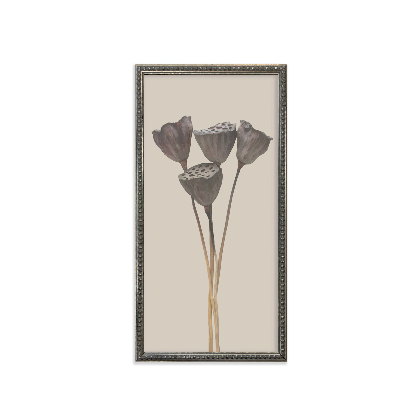 Silver Bead Frame Botanicals (Set of 6) - Interior Delights