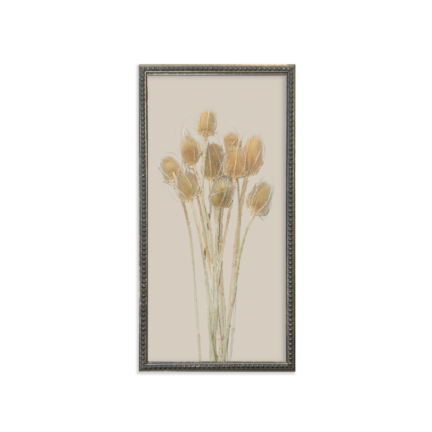 Silver Bead Frame Botanicals (Set of 6) - Interior Delights