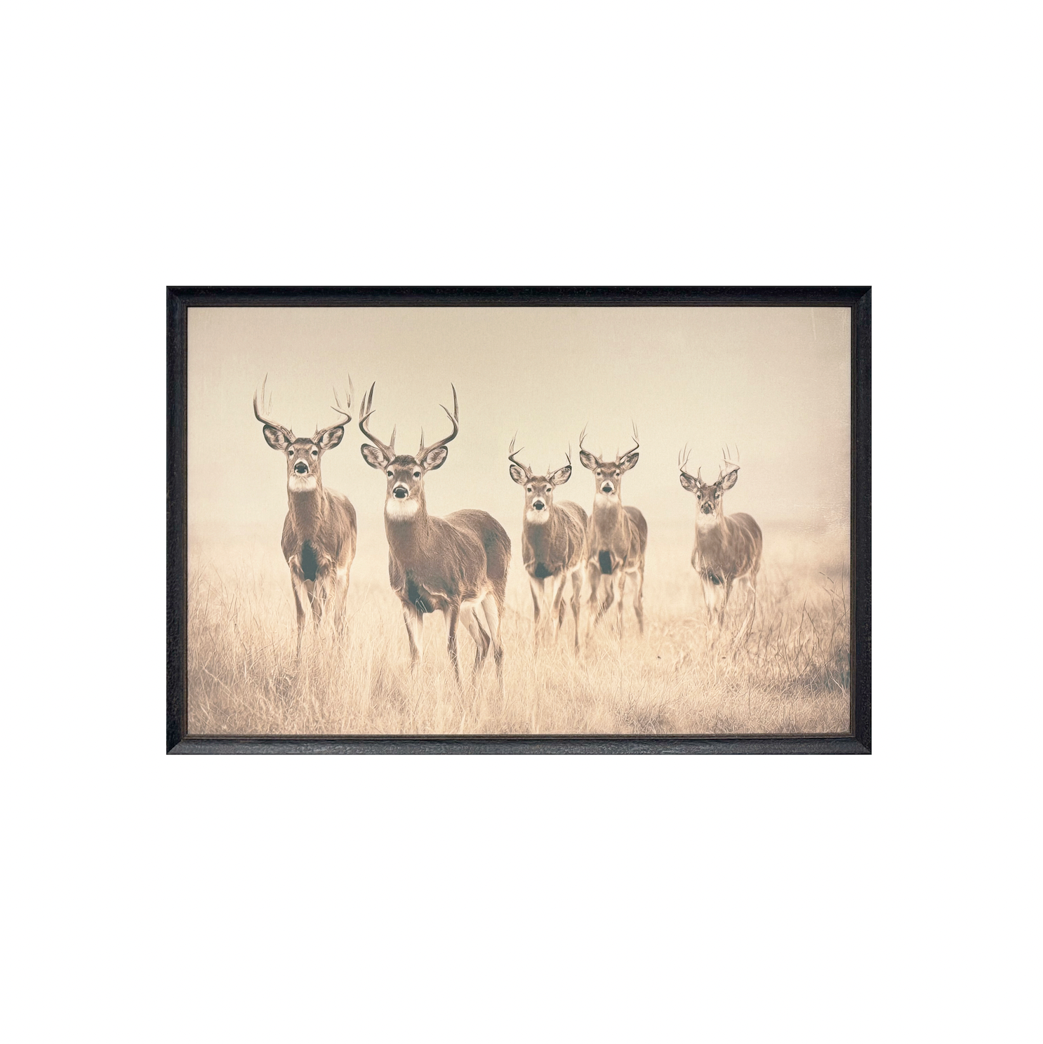 40x60 Vintage Antler