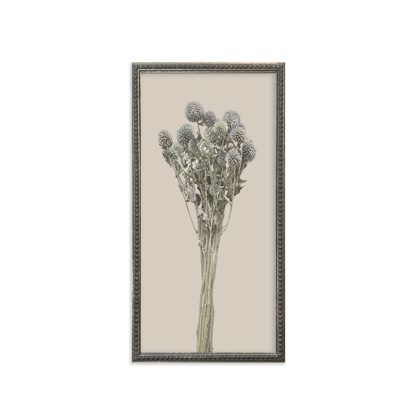 Silver Bead Frame Botanicals (Set of 6) - Interior Delights