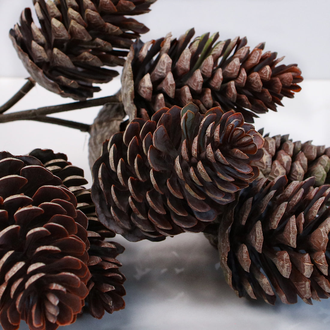 12&quot; Pinecone Pick, UV Treated