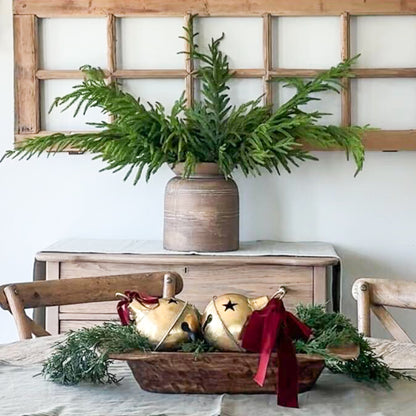 Norfolk Pine Spray &amp; Brown Line Vase Bundle