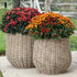 Round Willow Planter Baskets - Set of 2 - Interior Delights