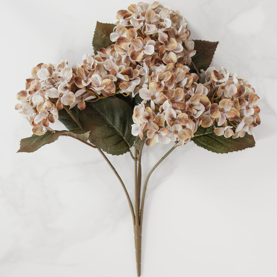 16" Autumn Hydrangea Bush, Brown