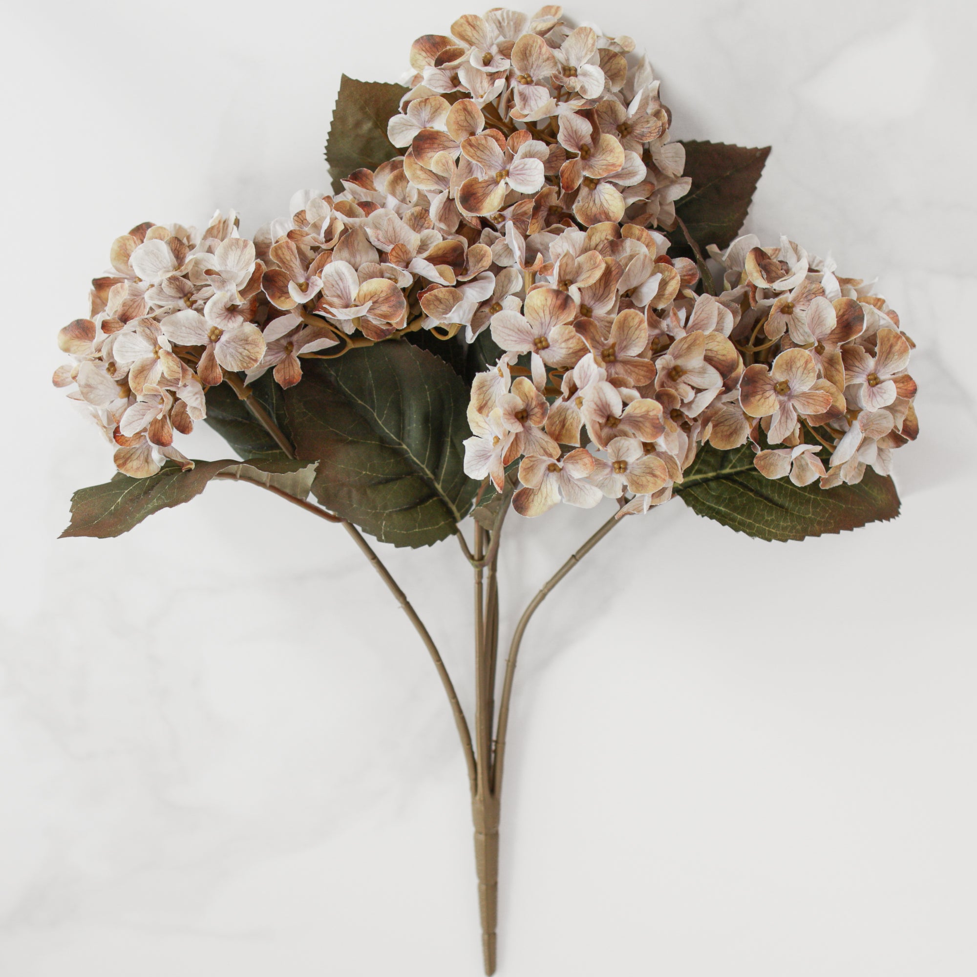 16" Autumn Hydrangea Bush, Brown