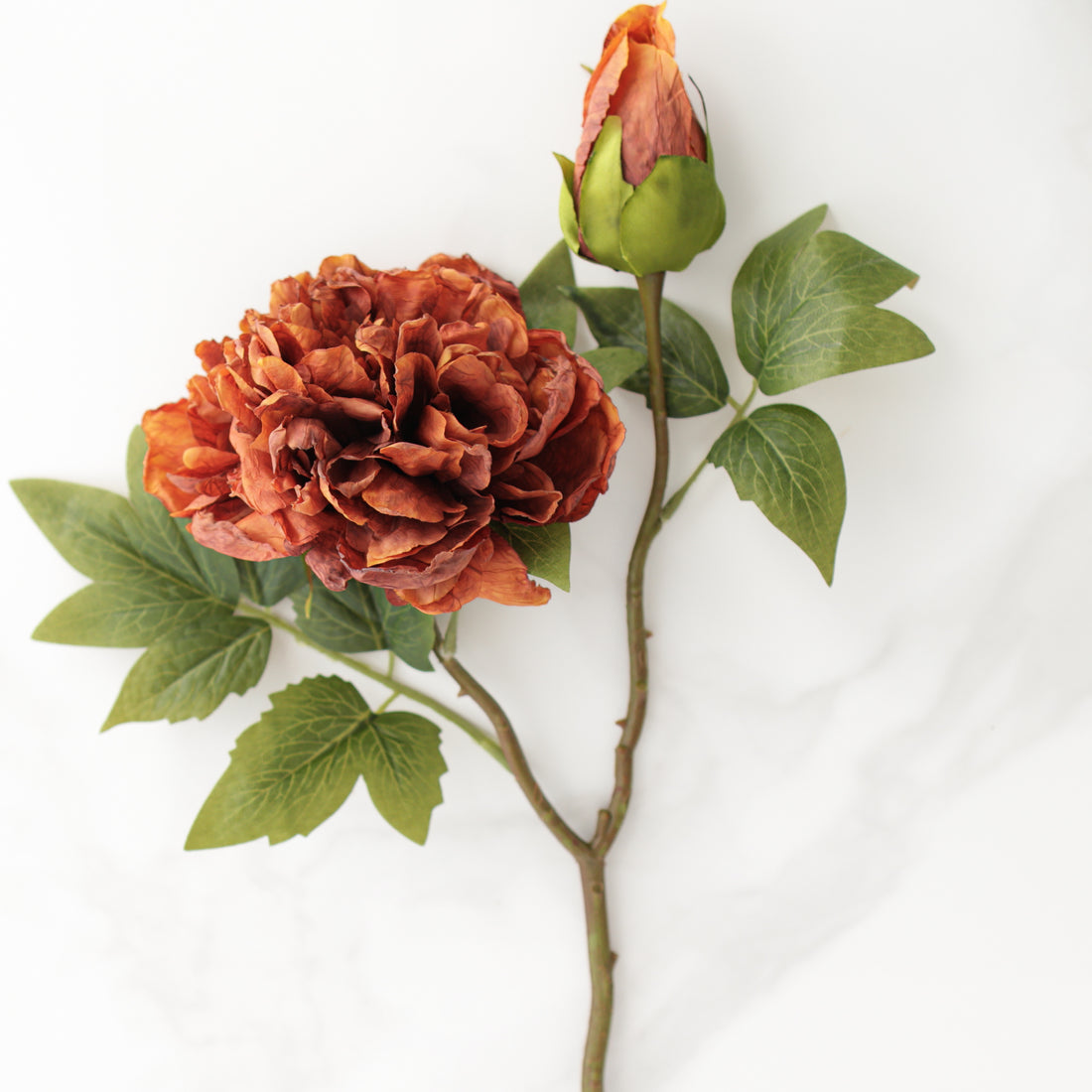 20" Legacy Bloom, Rust